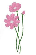Cosmos Bloemen